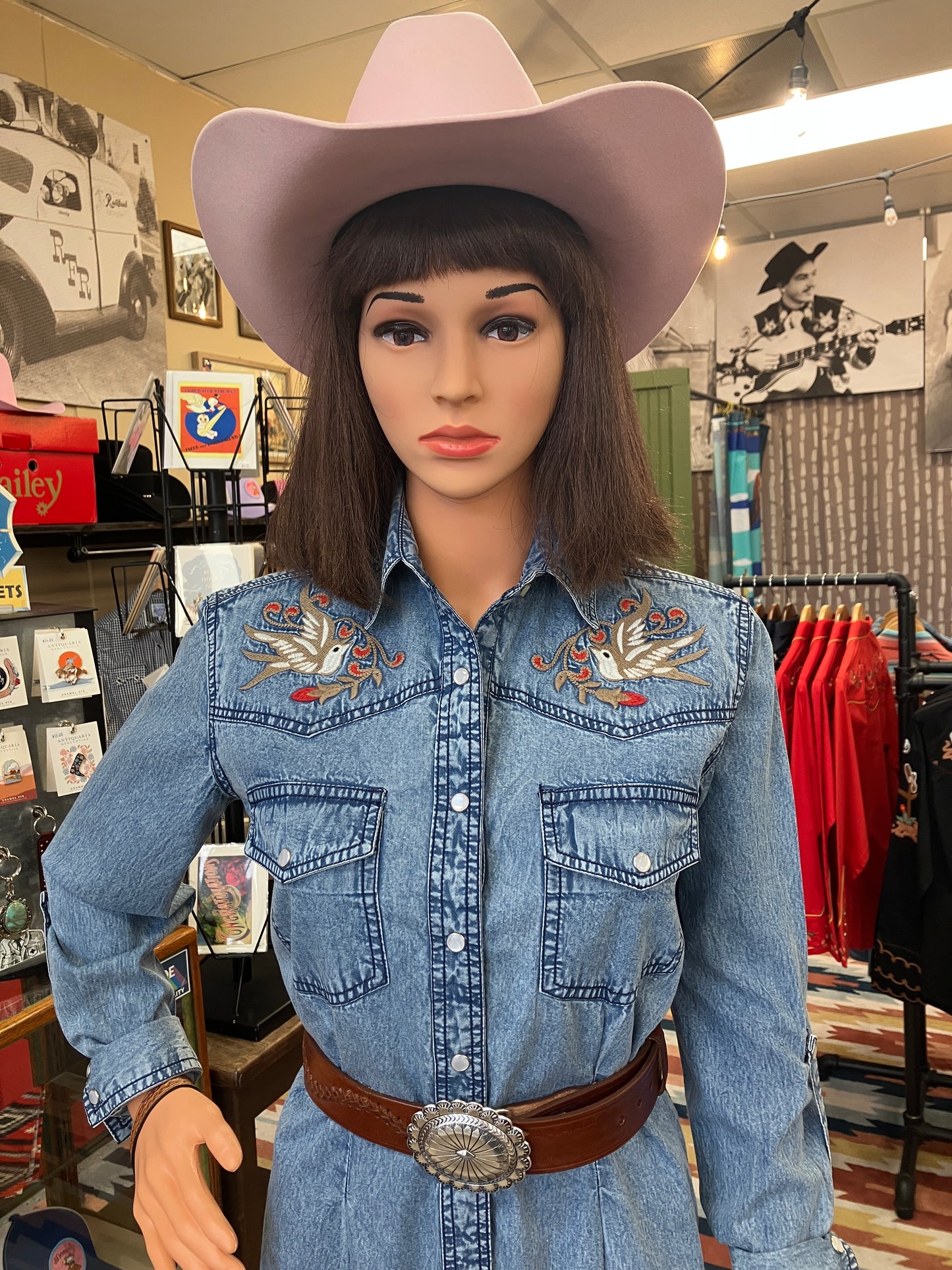 Women's Flying Swallows Embroidered Denim Western Shirt Dress
